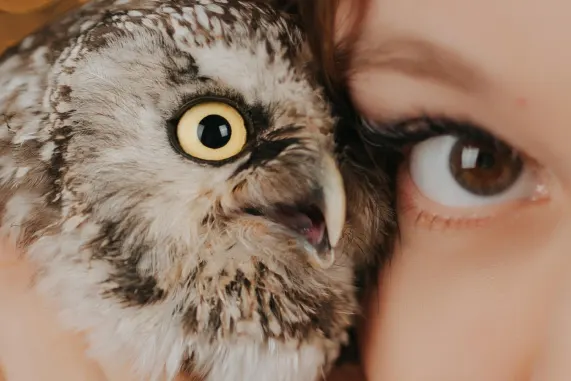 Tusk Casino Assistance